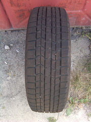 Зимние Dunlop Graspic DS-3 215/60 R16 99Q