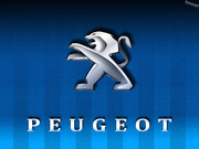 Peugeot 106,  107,  205,  206,  207,  208,  301,  305,  306,  307,  308,  309,  405,  406,  407,  5008,  605,  607,  806,  807,  Boxer,  Expert,  J5,  Partner,  Bipper. Разборка. Запчасти б/у и новые