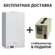 Viessmann (Vitopend 100) (Виссманн Витопенд 100)