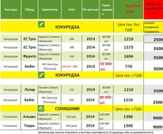 Закупіть насіння кукурудзи чи соняшника та отримайте гроші у подарунок