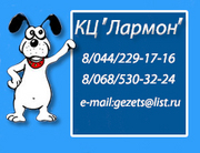 Дрессировка собак с заботой и любовью Киев тел.: (068)53-03-224